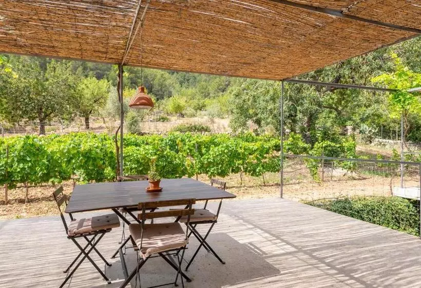 , Agroturismo Filicumis By Mhr