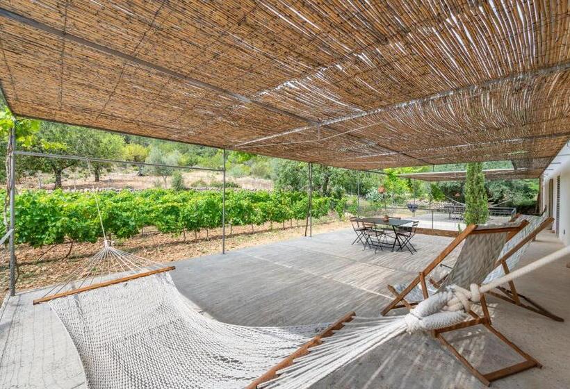 带两个卧室的顶楼公寓, Agroturismo Filicumis By Mhr