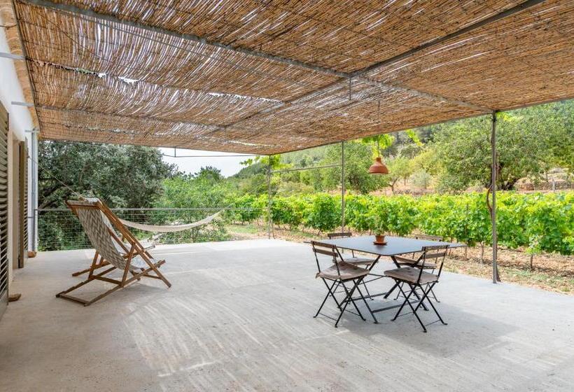 带两个卧室的顶楼公寓, Agroturismo Filicumis By Mhr