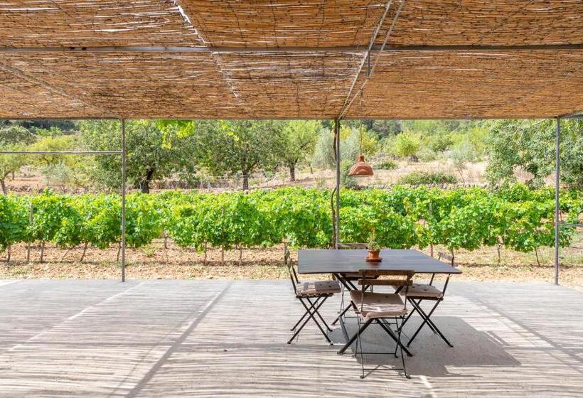 带两个卧室的顶楼公寓, Agroturismo Filicumis By Mhr