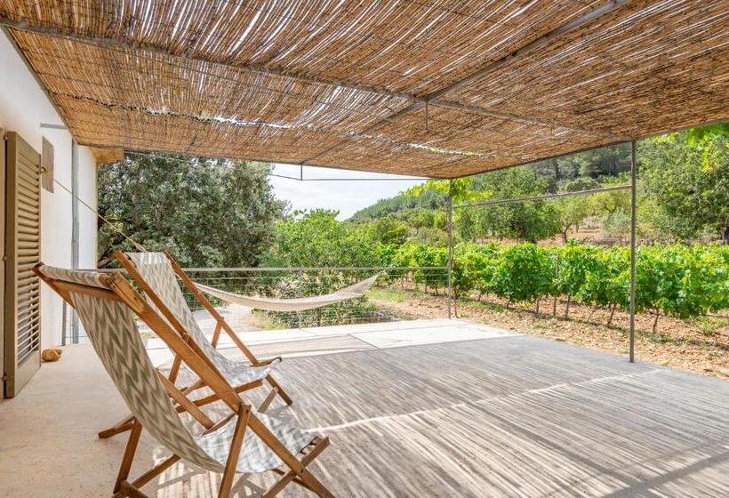 Апартаменты Пентхаус 2 Спальни, Agroturismo Filicumis By Mhr