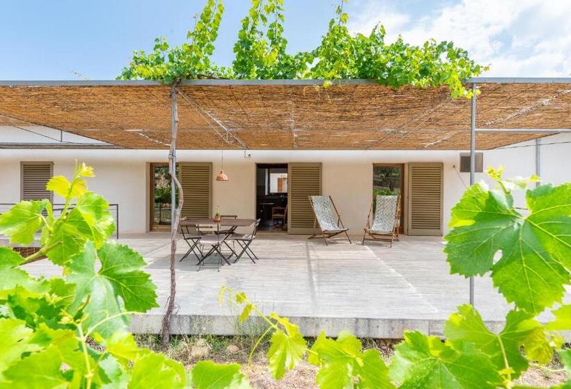 带两个卧室的顶楼公寓, Agroturismo Filicumis By Mhr