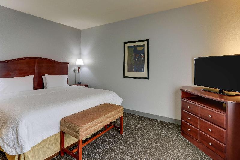 חדר סטנדרט עם מיטת קינג, Hampton Inn & Suites Indianapolis Airport
