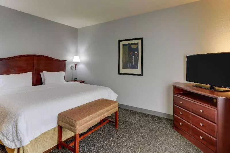 Standard-huone King-vuode, Hampton Inn & Suites Indianapolis Airport