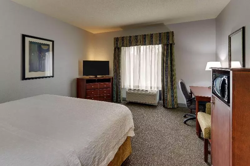 Standard-huone King-vuode, Hampton Inn & Suites Indianapolis Airport