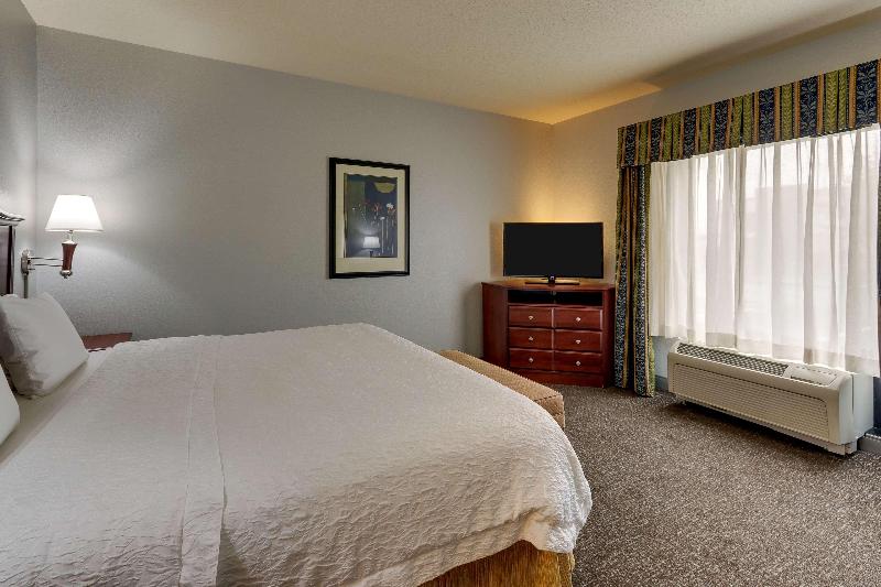 Standard Szoba King Size Bed, Hampton Inn & Suites Indianapolis Airport