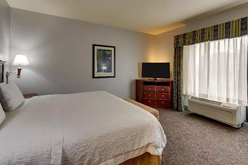 Standard-huone King-vuode, Hampton Inn & Suites Indianapolis Airport