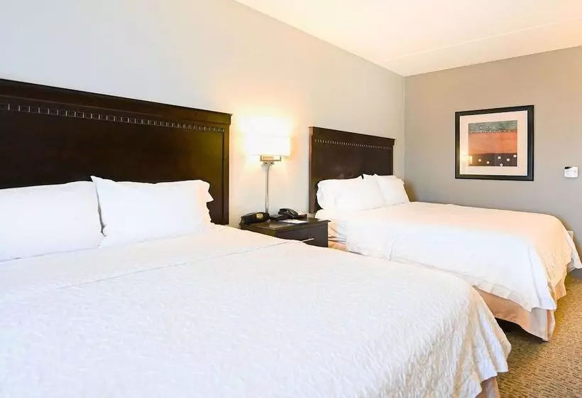 ２ダブルベッドのスタンダードルーム, Hampton Inn Suites Smithfield