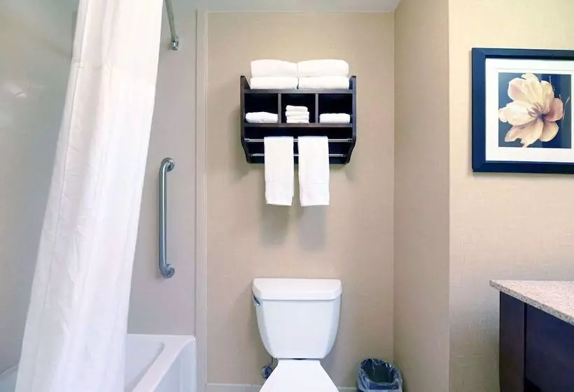 ２ダブルベッドのスタンダードルーム, Hampton Inn Suites Smithfield