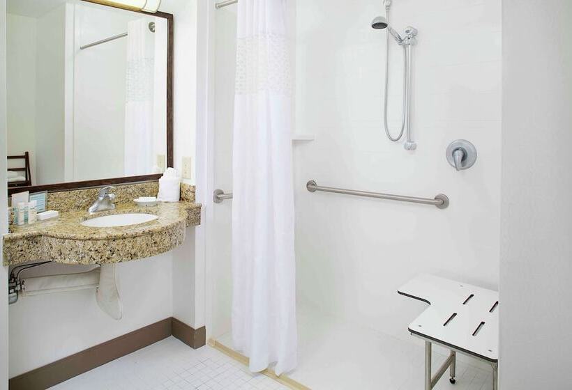 غرفة قياسية لذوى الاحتياجات الخاصة, Hampton Inn Garden City Long Island