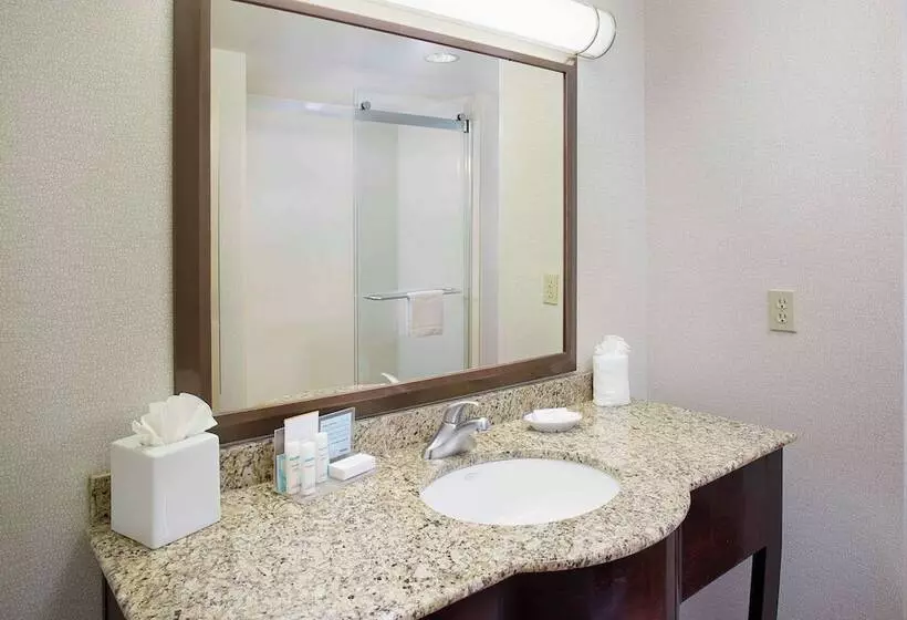 اتاق استاندارد, Hampton Inn Garden City Long Island