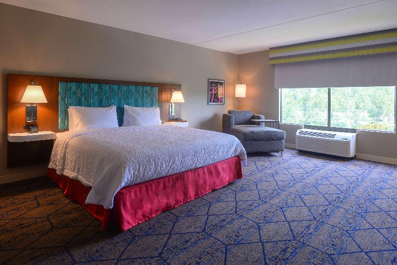 Estúdio standard Cama King, Hampton Inn & Suites Atlsix Flags