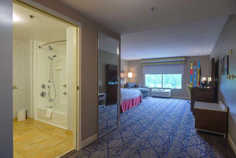 إستوديو قياسى سرير كينج, Hampton Inn & Suites Atlsix Flags