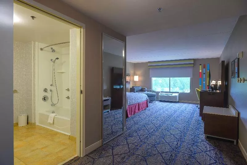 キングサイドベッドのスタンダードワンルーム, Hampton Inn & Suites Atlsix Flags