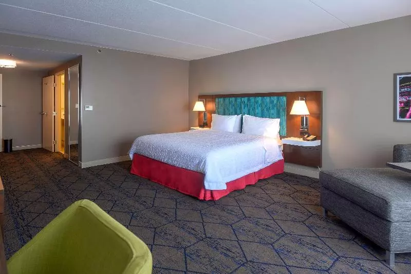 キングサイズベッドのデラックスルーム, Hampton Inn & Suites Atlsix Flags