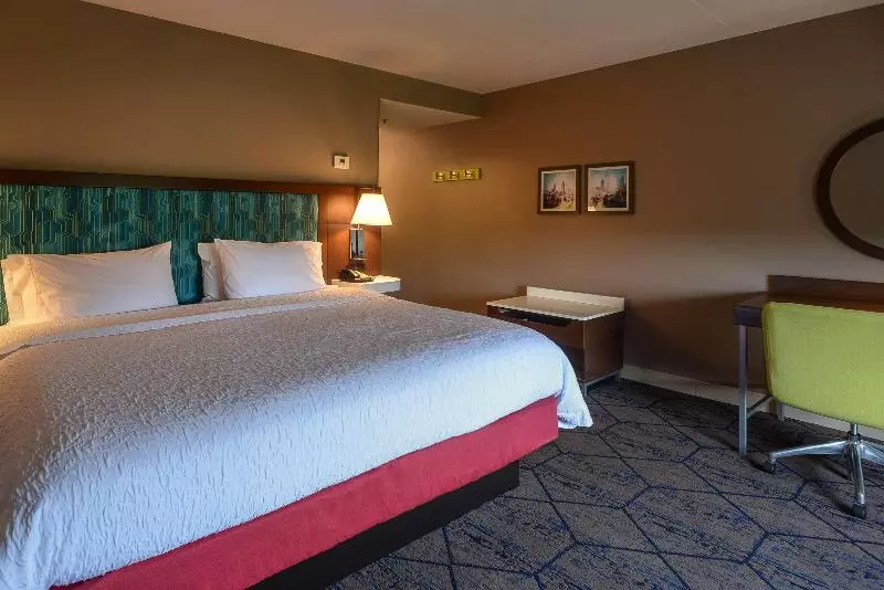 キングサイズベッドのデラックスルーム, Hampton Inn & Suites Atlsix Flags
