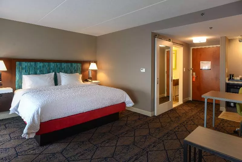 キングサイズベッドのデラックスルーム, Hampton Inn & Suites Atlsix Flags