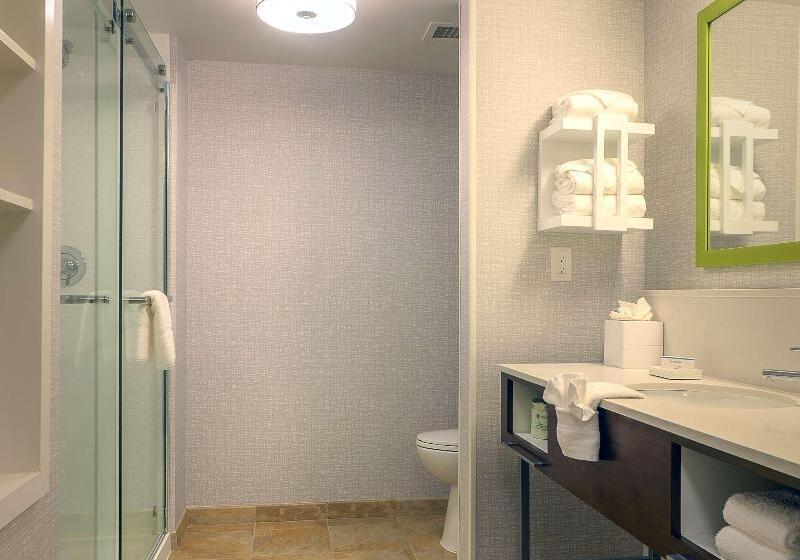 غرفة ديلوكس سرير كينج, Hampton Inn & Suites Atlsix Flags