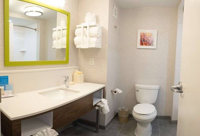 Номер Стандарт, Hampton Inn & Suites Dallas/lewisvillevista Ridge Mall, Tx