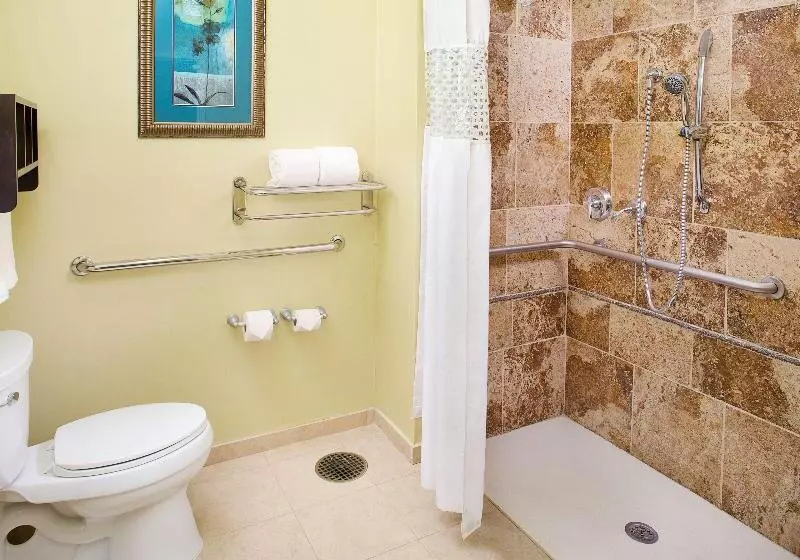 Standard-huone King-vuode, Hampton Inn & Suites Dallas/lewisvillevista Ridge Mall, Tx