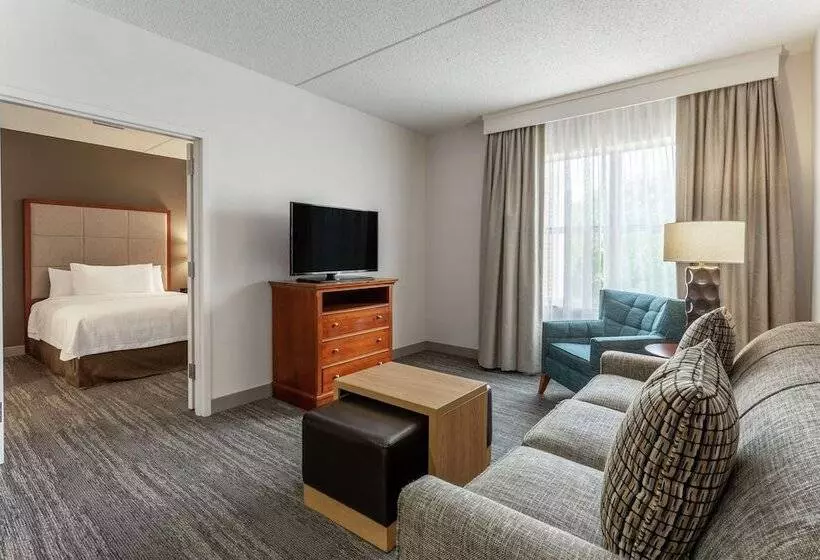 キングサイズベッドのスイートルーム, Homewood Suites By Hilton Albany