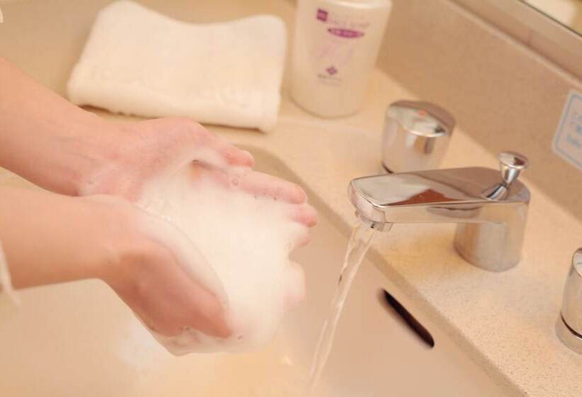 غرفة قياسية, Okayama Koraku