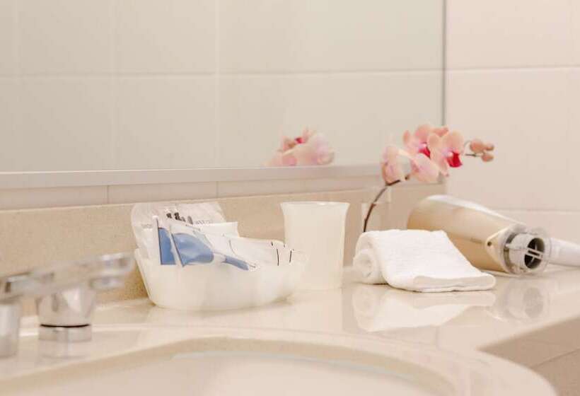 غرفة إقتصادية, Okayama Koraku