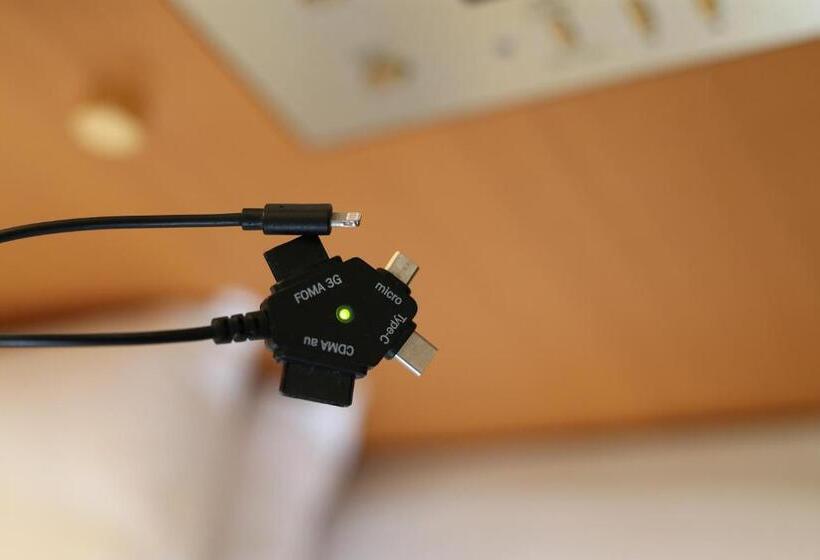 غرفة قياسية, Okayama Koraku