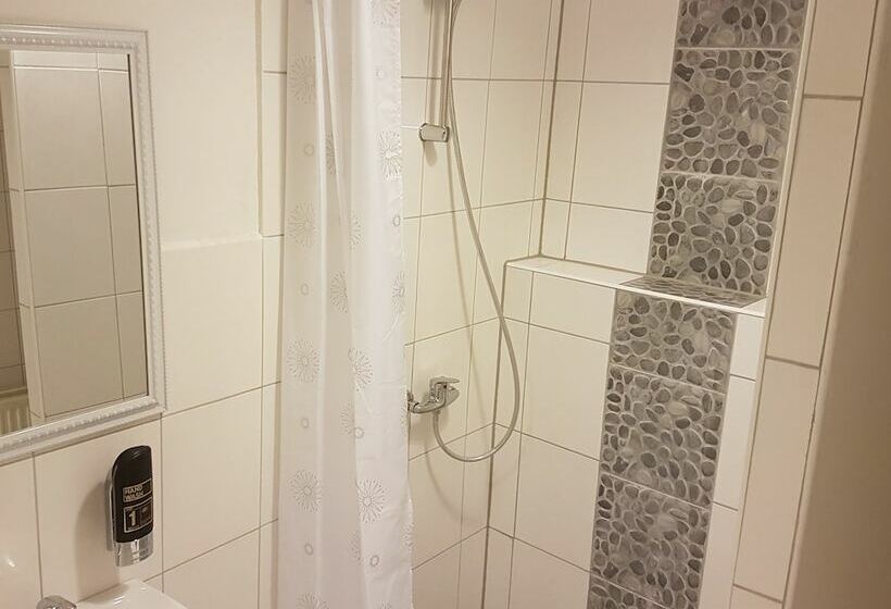 اتاق اکونومی با حمام مشترک, Pension Reiter