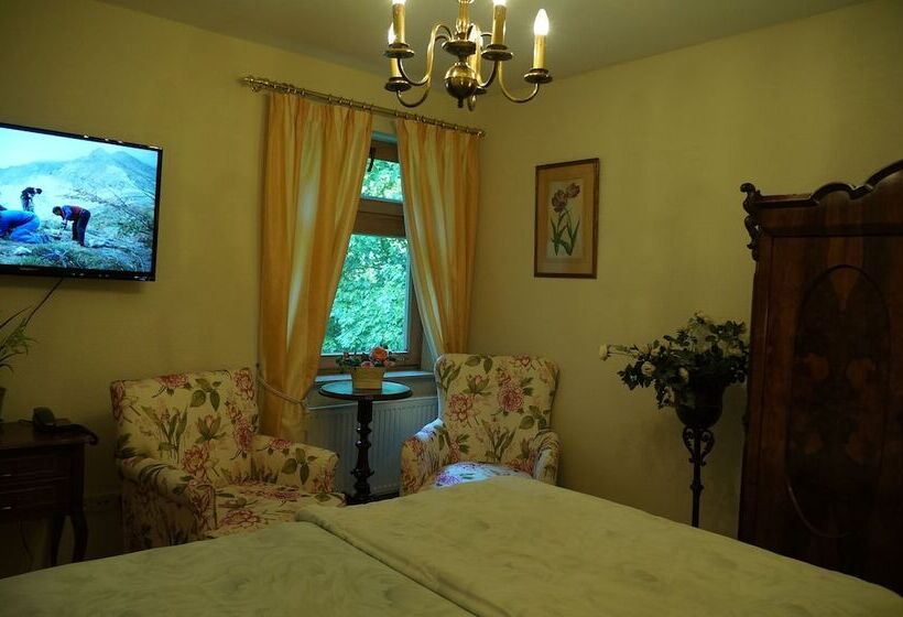 Номер Стандарт Индивидуальный, Villa Herzog