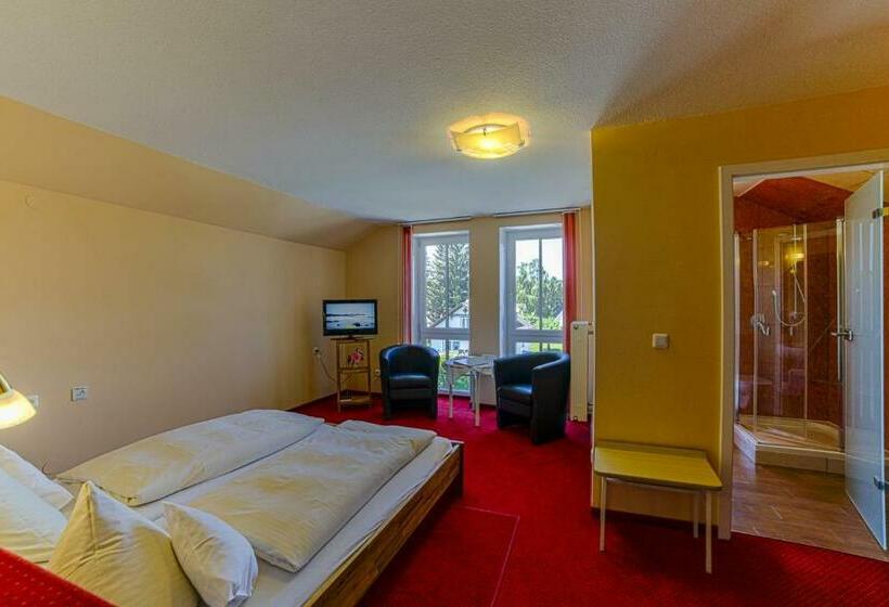 Номер Стандарт, Kneipp Kurhotel Emilie