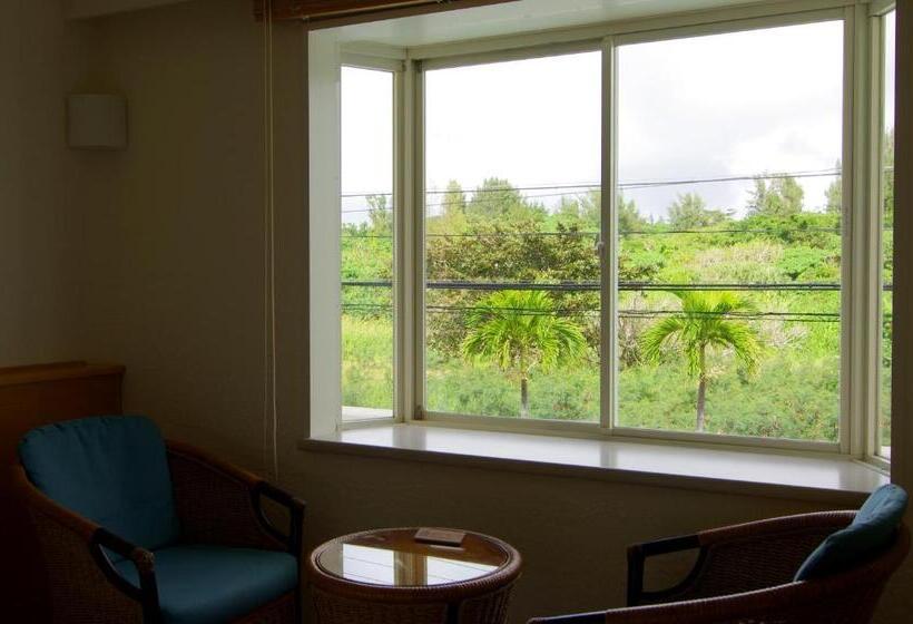 Номер Стандарт Вид на Горы, Beach Hotel Sunshine Ishigakijima