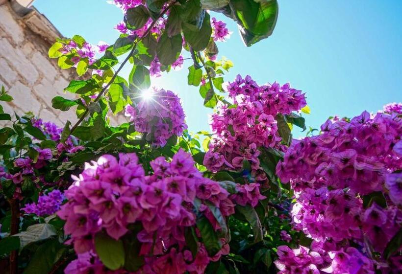 חדר סטנדרט נוף לגינה, Boutique Guest Accommodation Zephyrus