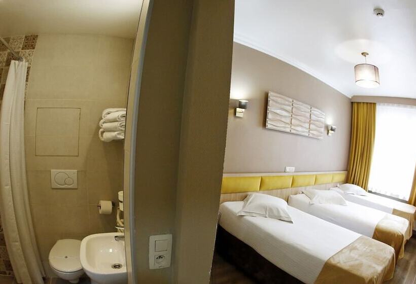 اتاق استاندارد سه نفره, De France