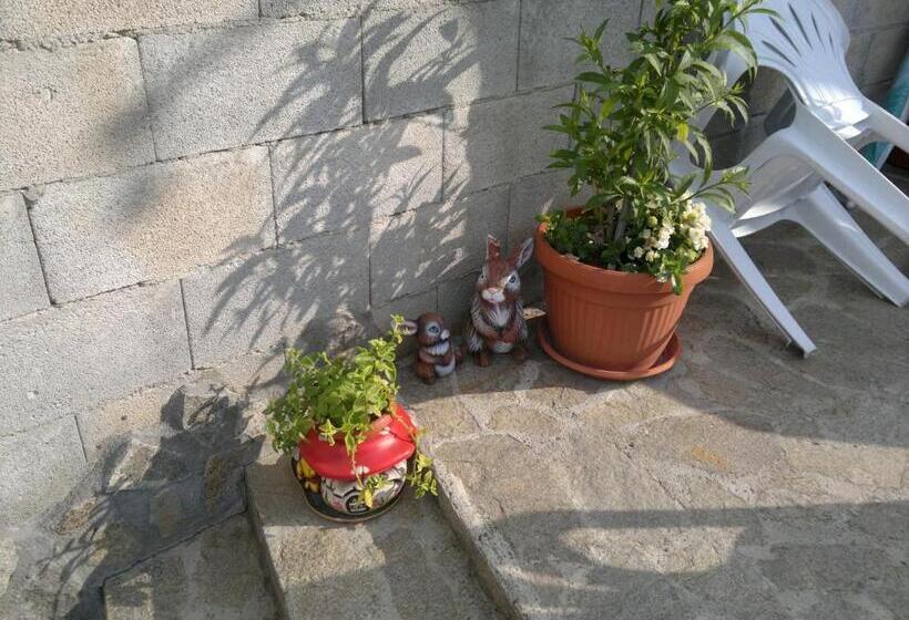 家庭套房, Poseidon