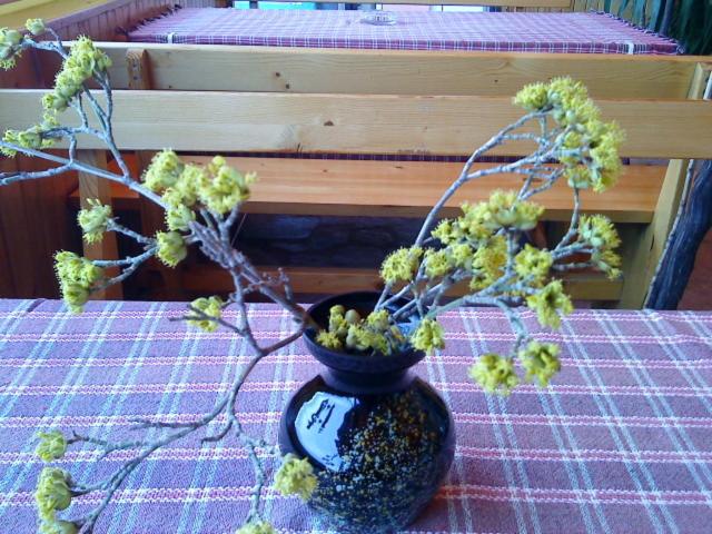 四人标准间, Poseidon