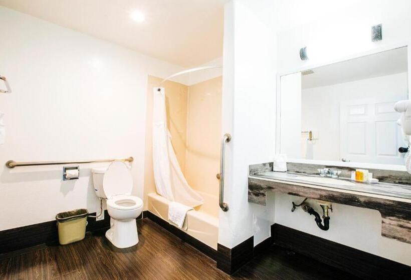 Pokój Typu Standard Łóżko King Przystosowany dla Osób Niepełnosprawnych, Anaheim Discovery Inn And Suites
