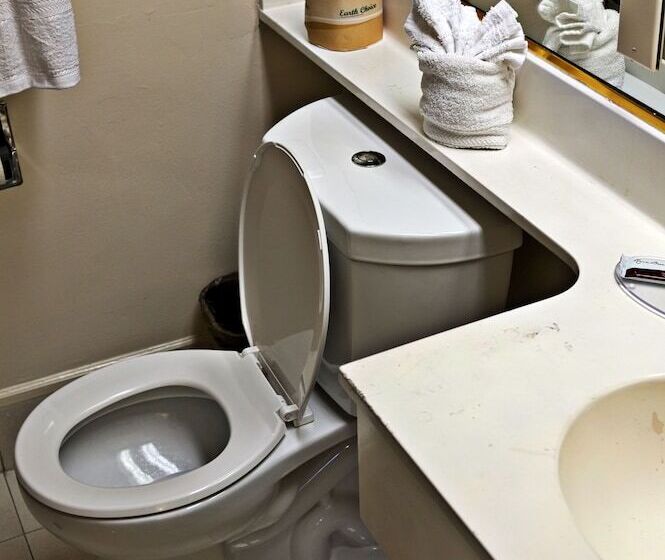 جناح عائلي غرفتين نوم, Anaheim Discovery Inn And Suites