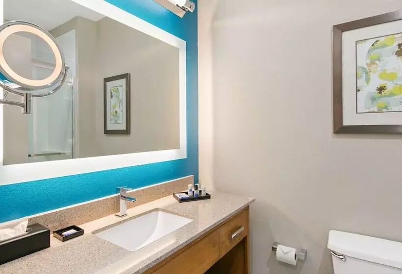 سوییت, Best Western Plus Houston Atascocita Inn & Suites