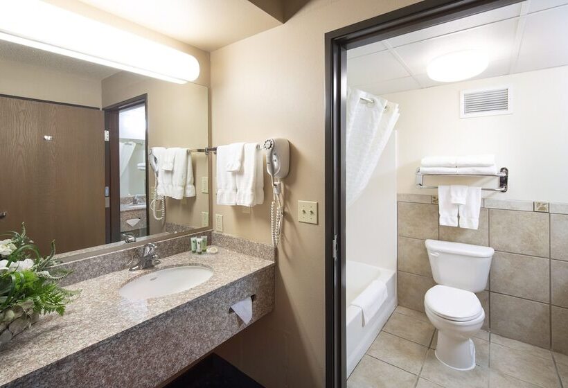 带大床的标准间, Glenwood Springs