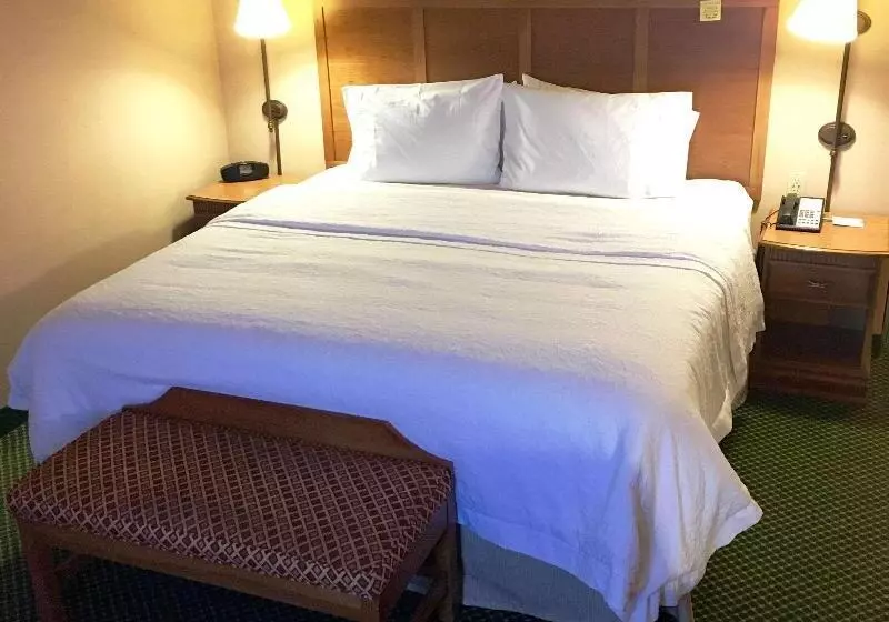 キングサイズベッドのスタンダードルーム, Hampton Inn Haysnorth Of I70