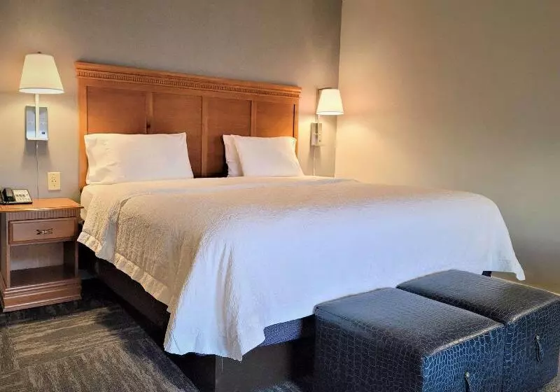 キングサイドベッドのスタンダードワンルーム, Hampton Inn Haysnorth Of I70