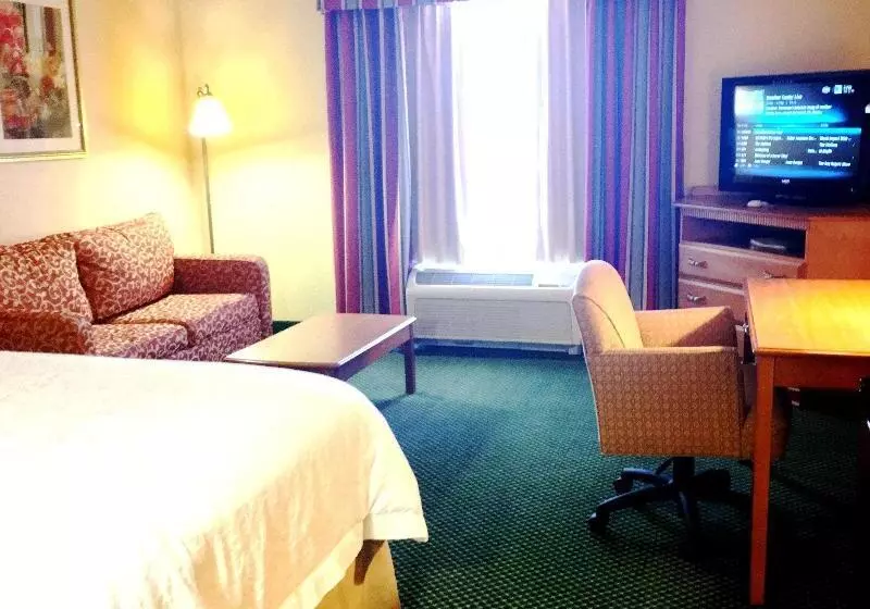 キングサイドベッドのスタンダードワンルーム, Hampton Inn Haysnorth Of I70