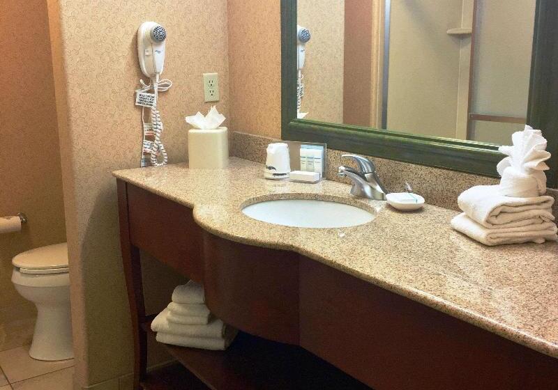 إستوديو قياسى سرير كينج, Hampton Inn Haysnorth Of I70