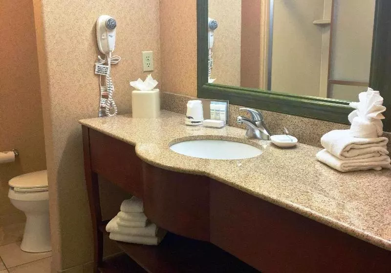 キングサイドベッドのスタンダードワンルーム, Hampton Inn Haysnorth Of I70