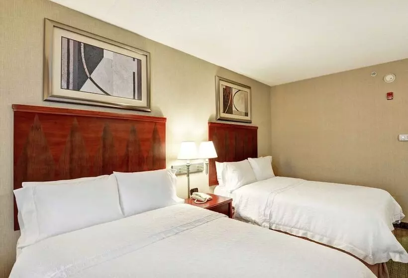 ２ダブルベッドのスタンダードルーム, Hampton Inn Lewisburg