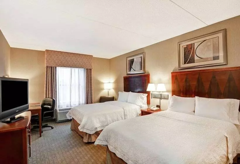 ２ダブルベッドのスタンダードルーム, Hampton Inn Lewisburg