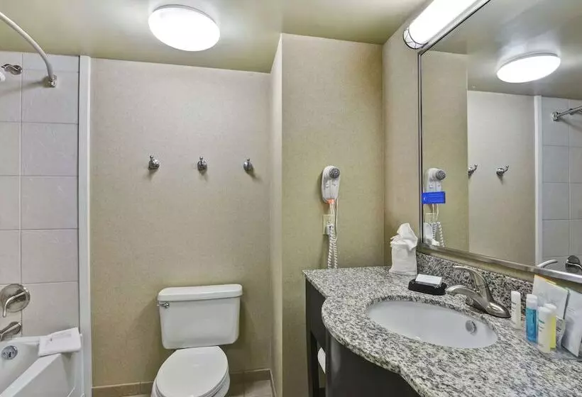 ２ダブルベッドのスタンダードルーム, Hampton Inn Lewisburg