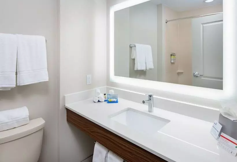 スイート, Holiday Inn Express Hotel & Suites Dallas South   Desoto, An Ihg