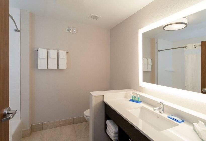 Люкс, Holiday Inn Express Hotel & Suites Dallas South   Desoto, An Ihg